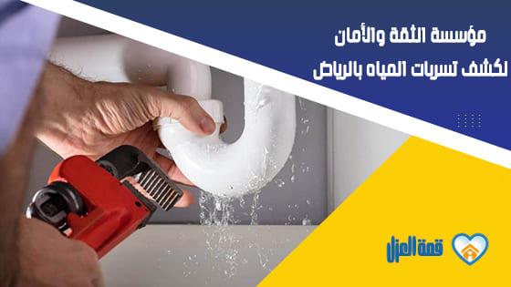 مؤسسة قمة العزل لكشف تسربات المياه بالرياض